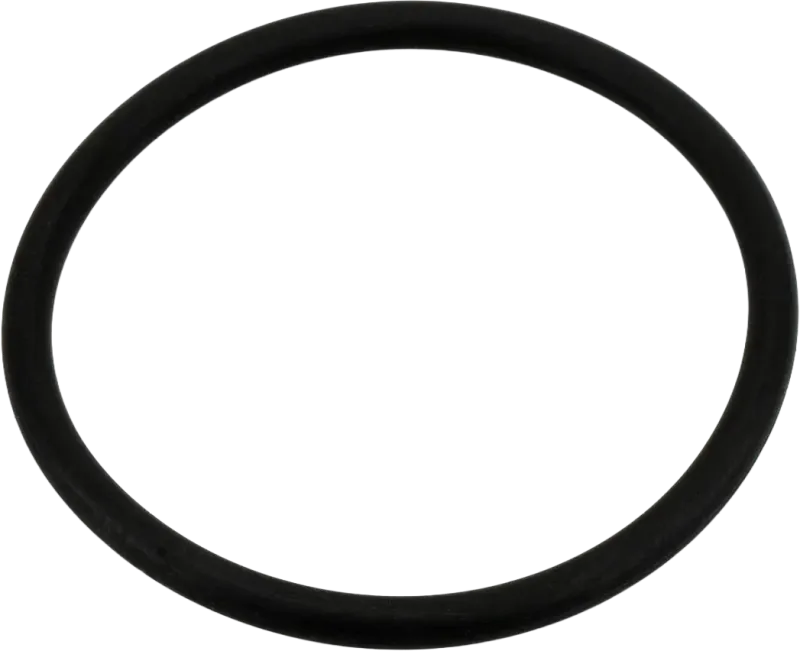 Replacement O-Ring for Oil Filter Sandwich Plates