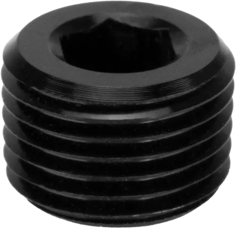 NPT Port Blanking Plugs - Picture 4 of 5