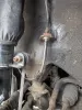 as11771420066sd4.jpg