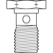 Banjo Bolts
